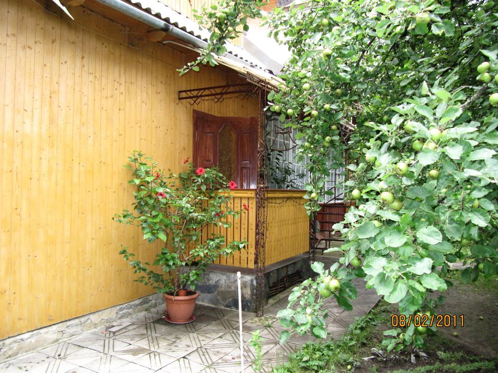 Guesthouse U Dida Viktora ยาเรมชา ภายนอก รูปภาพ